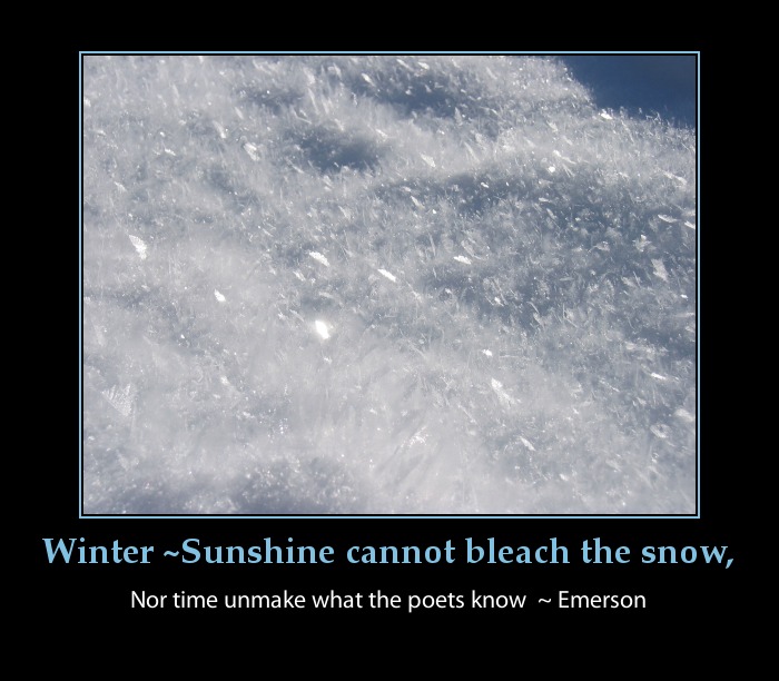 Beautiful Winter Quotes. QuotesGram