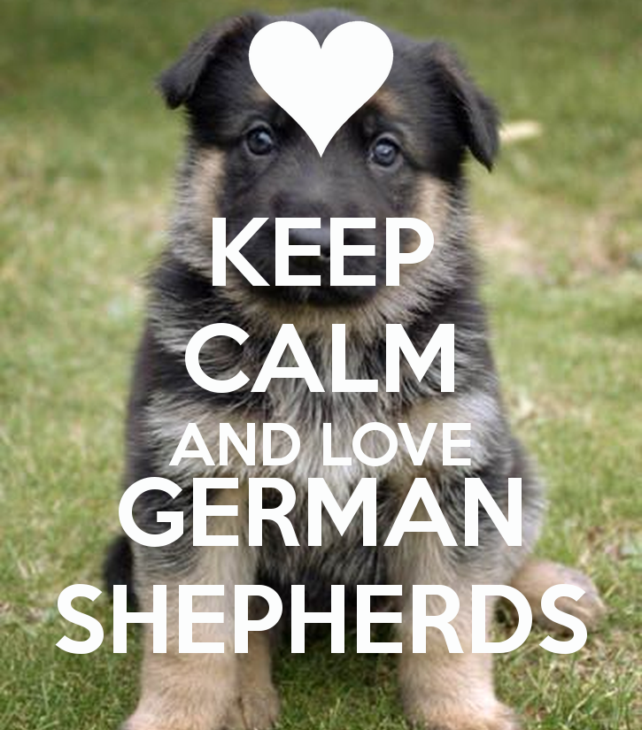 German Shepherd Motivational Quotes