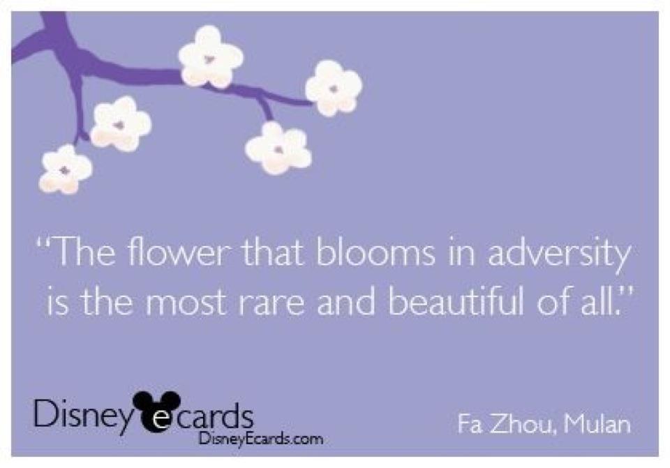 flower quotes pinterest