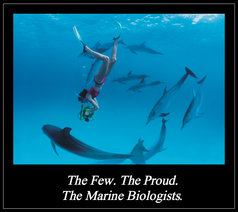 Marine Biology Quotes Funny. QuotesGram