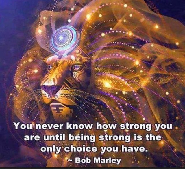 Like A Strong Lion Quotes. QuotesGram