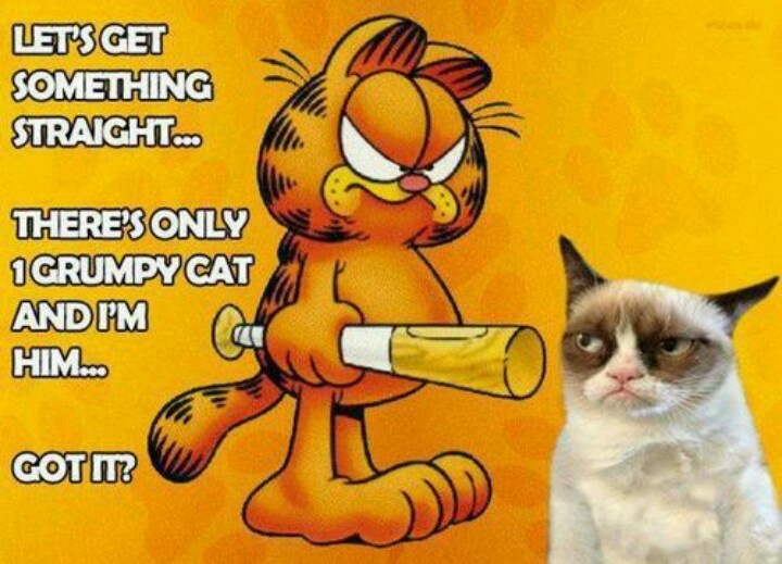 Lazy Garfield Quotes. QuotesGram