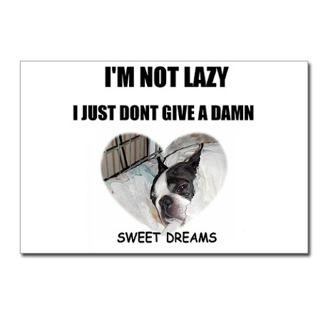 Im Not Lazy Quotes. QuotesGram