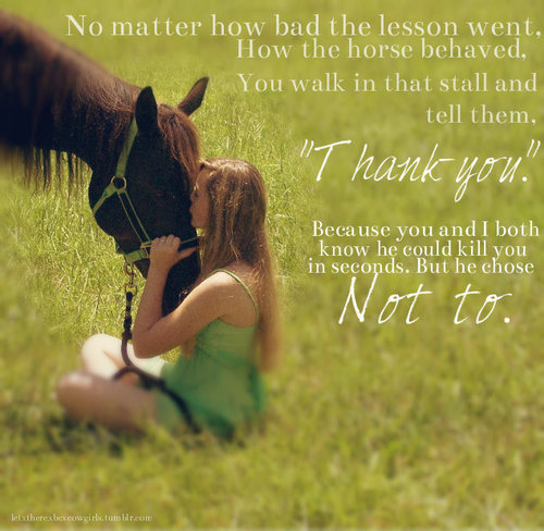 Cute Horse Quotes For Girls. QuotesGram