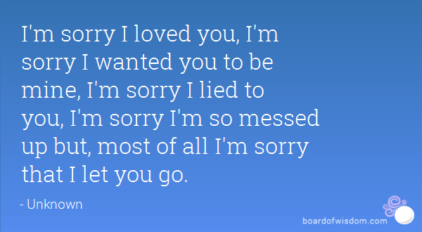 Im Sorry I Lied Quotes Quotesgram