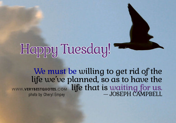 Tuesday Morning Funny Quotes. QuotesGram