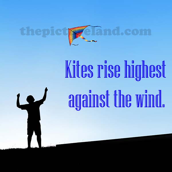 Quotes About Kites. QuotesGram
