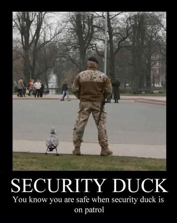 Funny Security Quotes QuotesGram funny-security-quotes-quotesgram