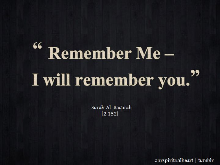 Featured image of post Love Quran Quotes In English : Allah hum sab ko or tamam muslamano ko apni rehmat sy maaf farmaye (ameen).