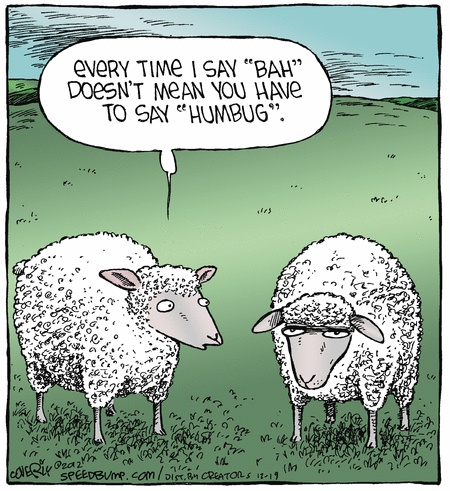 Funny Quotes About Sheep. QuotesGram