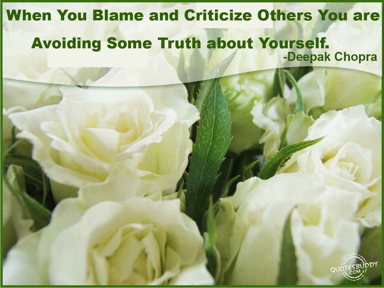 Placing Blame On Others Quotes. QuotesGram