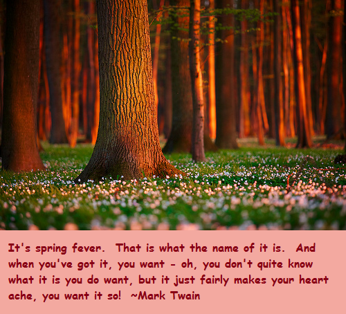 Spring New Beginnings Quotes. QuotesGram