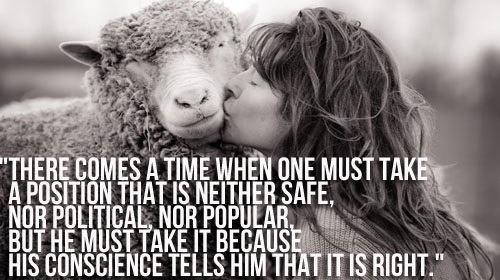 Animal Quotes For 2014. QuotesGram