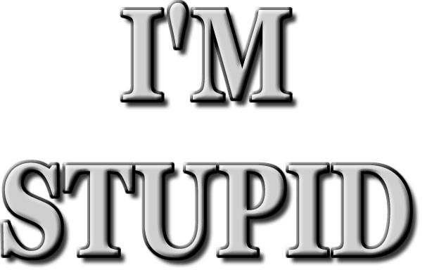 I Am Stupid Quotes QuotesGram