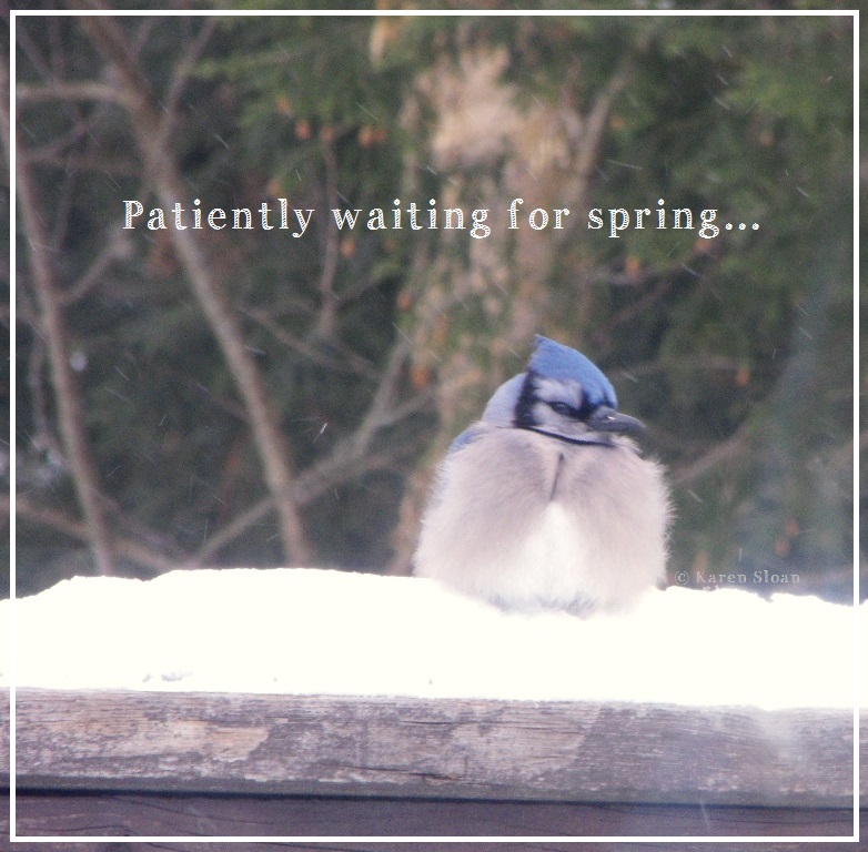 Quotes Waiting For Spring. QuotesGram Quotes Waiting For Spring. QuotesGram