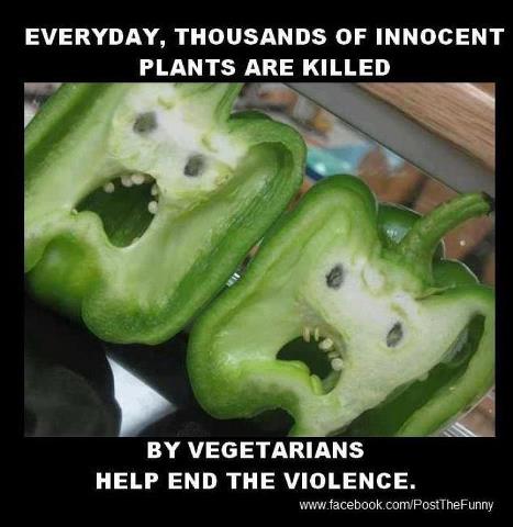 Funny Quotes About Vegetarians. QuotesGram