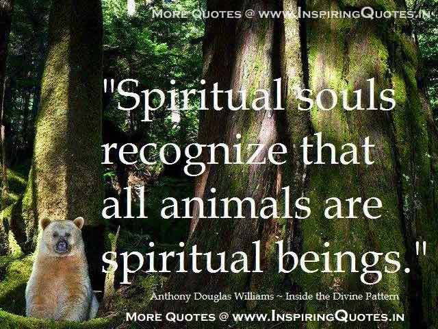 Animal Spiritual Quotes. QuotesGram
