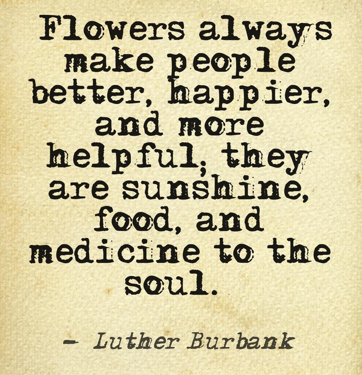 Making Life Better Quotes QuotesGram making-life-better-quotes-quotesgram