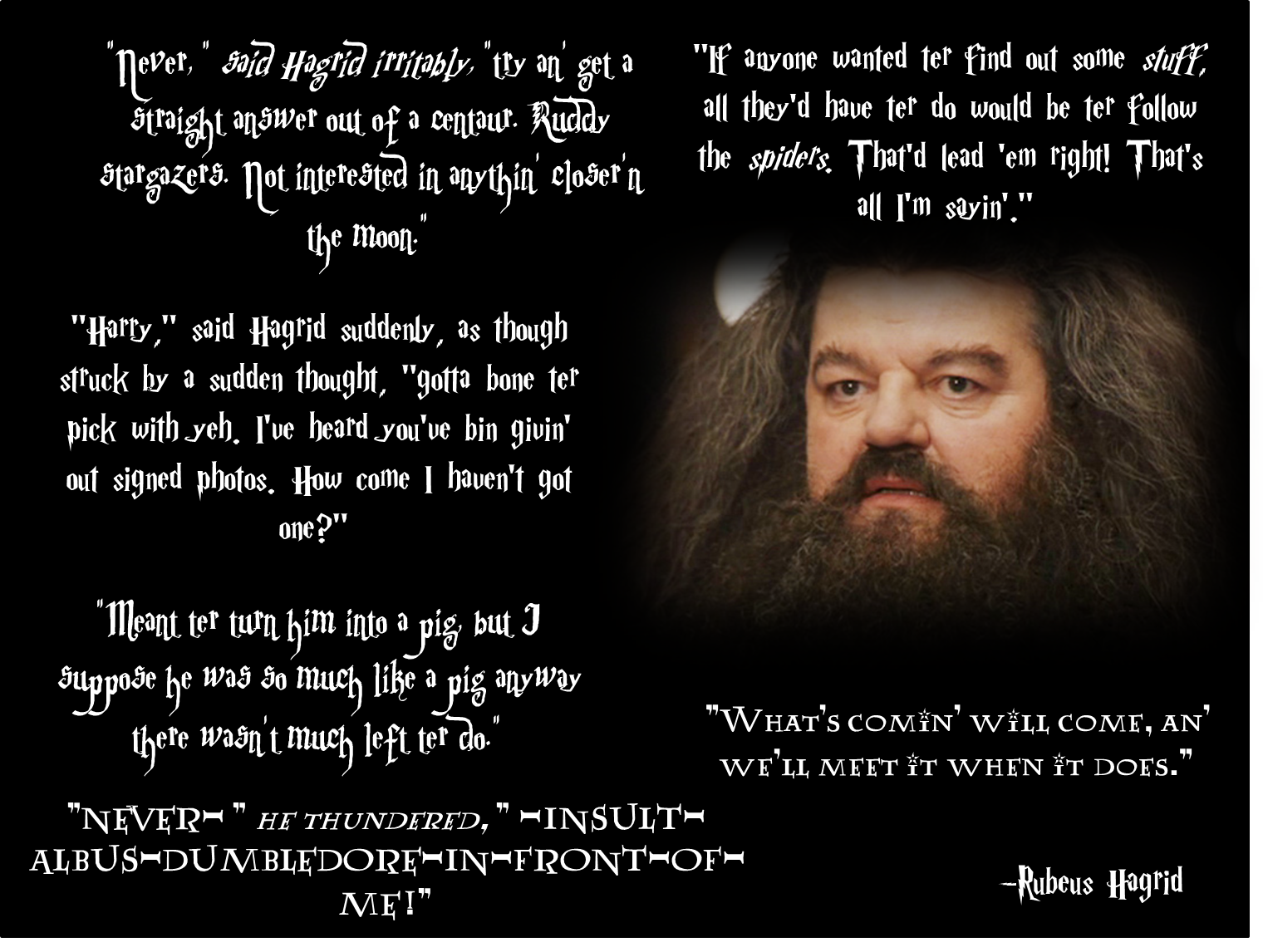 Hagrid Quotes. QuotesGram