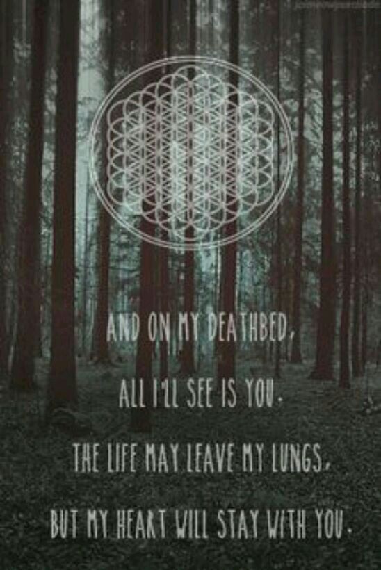 N o i r r e  Bring me the horizon lyrics, Band quotes, Music quote tattoos