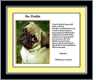 Pug Quotes And Poems. QuotesGram Pug Quotes And Poems. QuotesGram