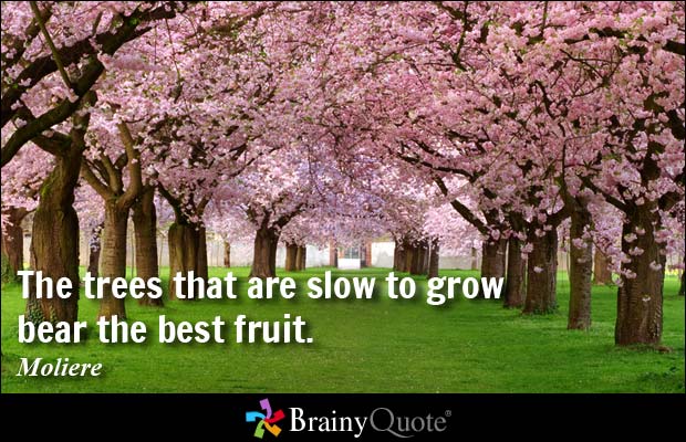 Quotes About Growing Trees. QuotesGram