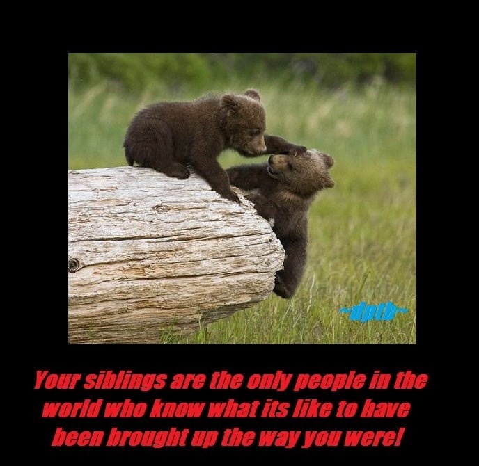 National Sibling Day Quotes. QuotesGram