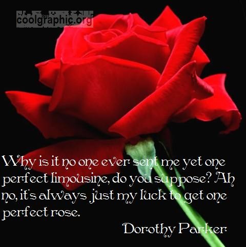Rose Quotes And Sayings. QuotesGram
