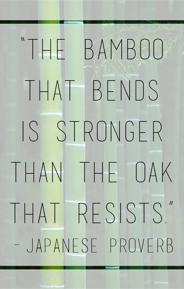 Bamboo Quotes And Sayings. QuotesGram