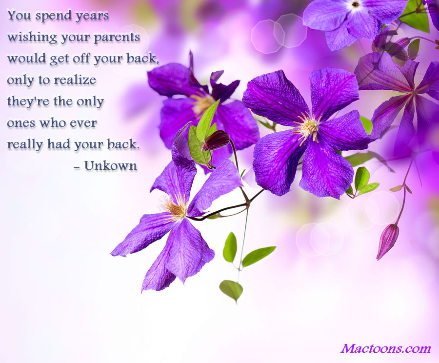 Quotes On Purple Flowers Life Quotes Flowers Purple. Quotesgram