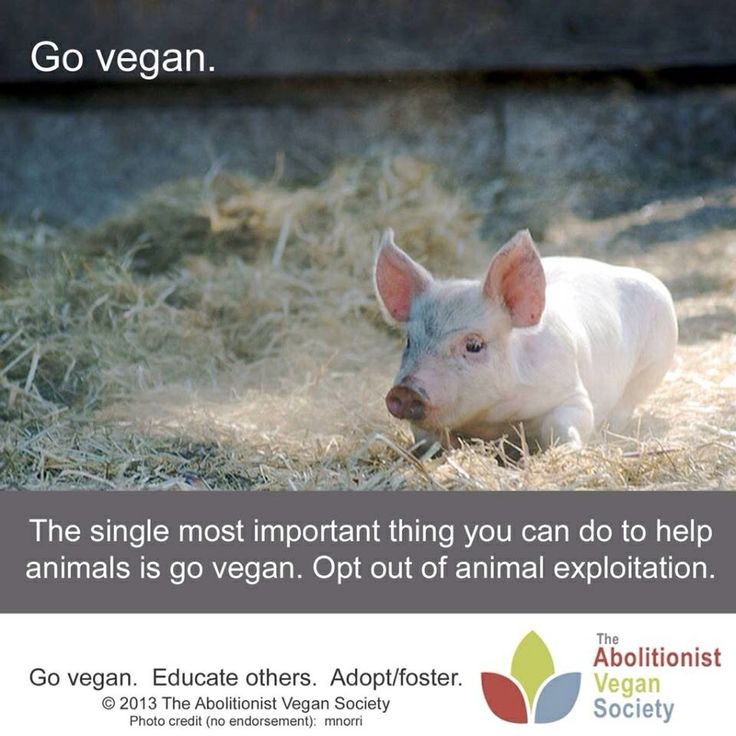 Thoughtful Vegan Promise