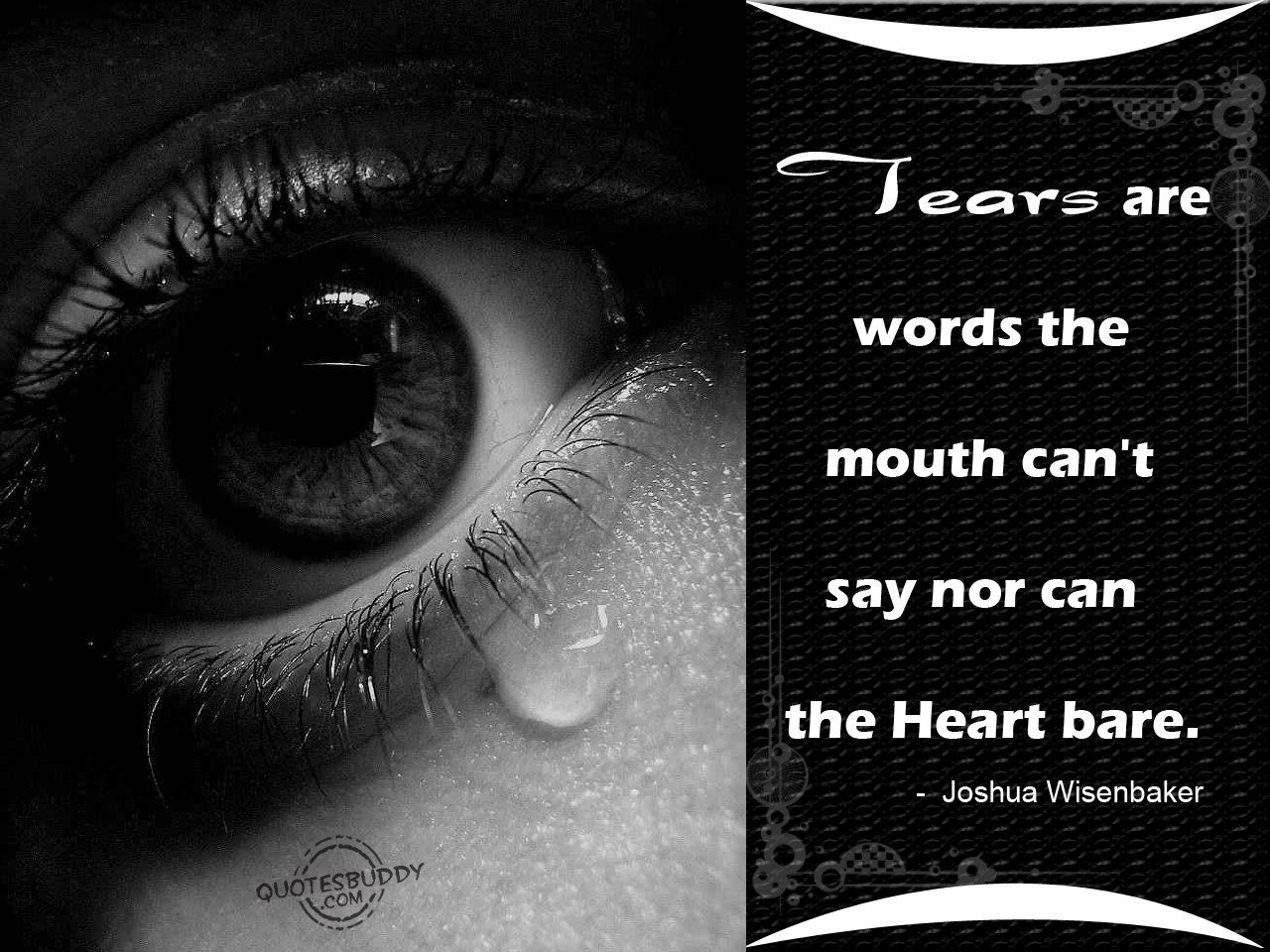 Tears Of Sadness And Loss Quotes Quotesgram 