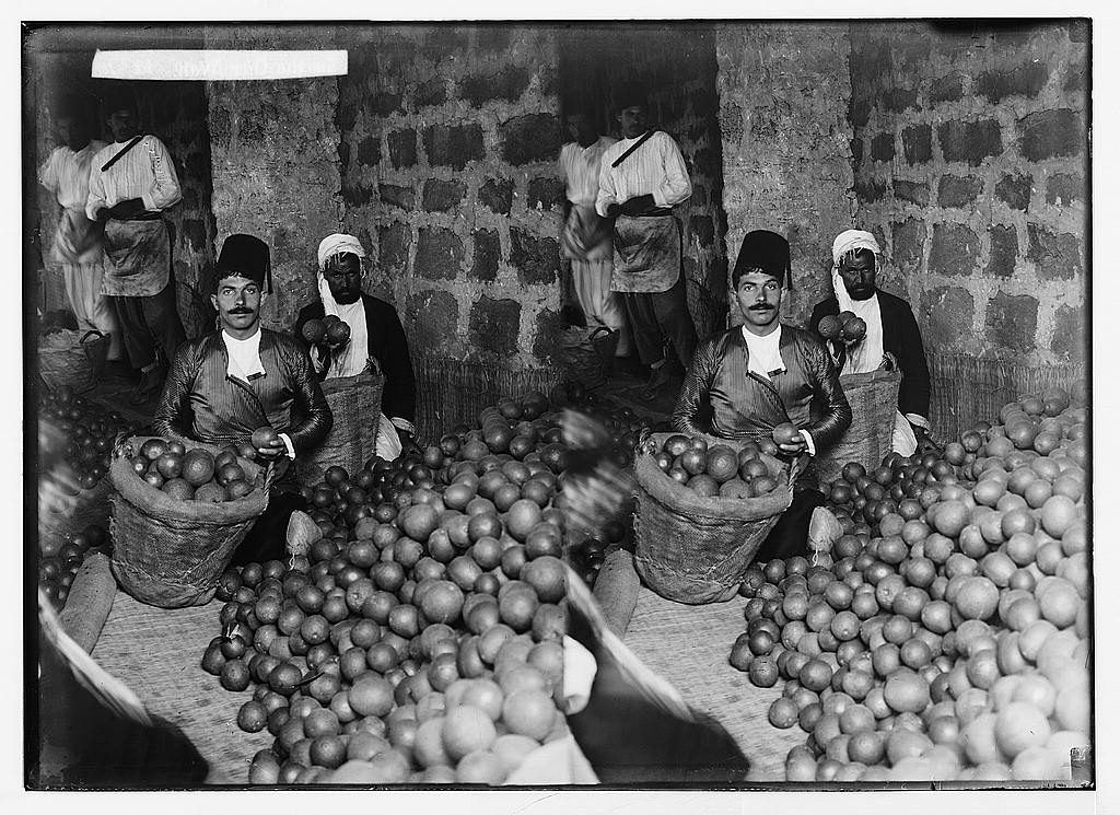 Grapes Of Wrath Quotes Explained. QuotesGram