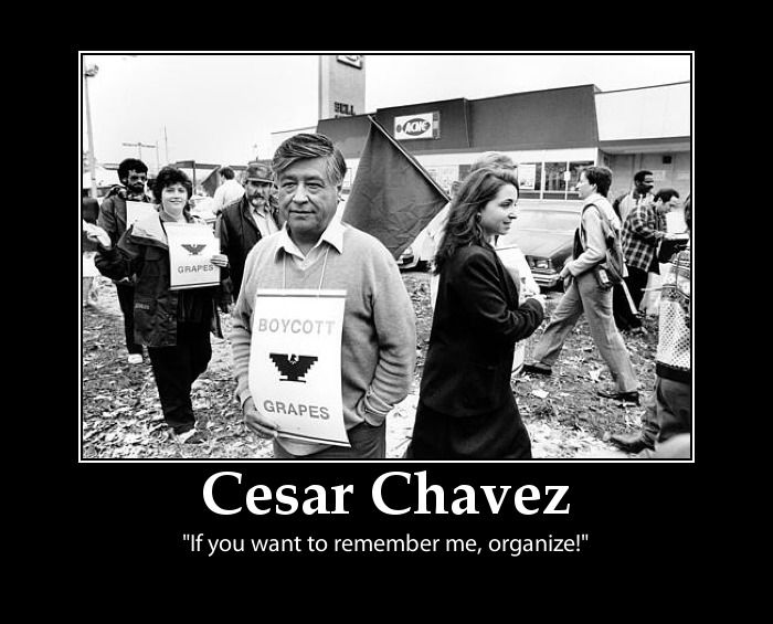 Cesar Chavez Quotes Quotesgram