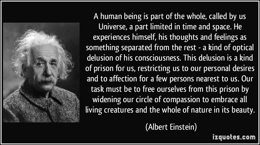 Albert Einstein Quotes Universe. QuotesGram