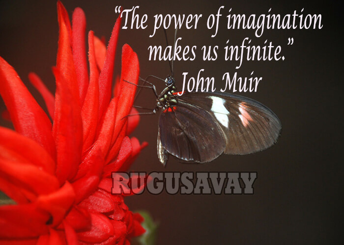 Famous Quotes By John Muir