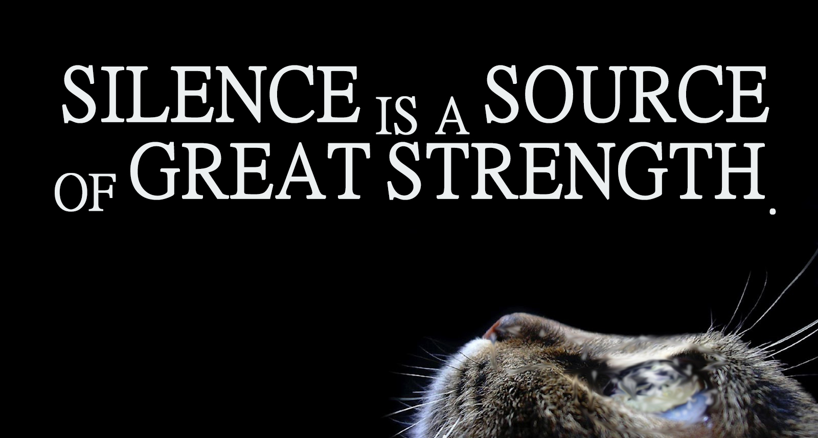 Quotes On Strength And Silence. QuotesGram