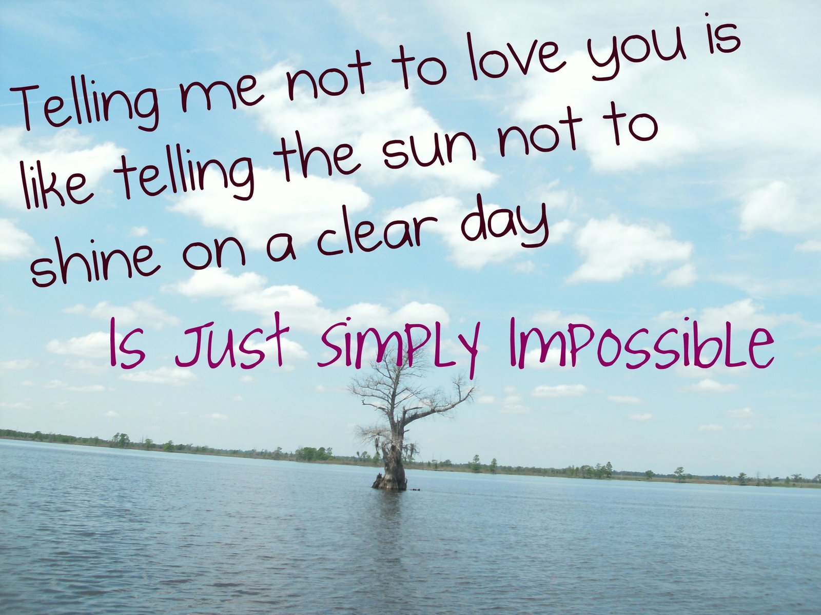 Impossible Love Quotes. QuotesGram
