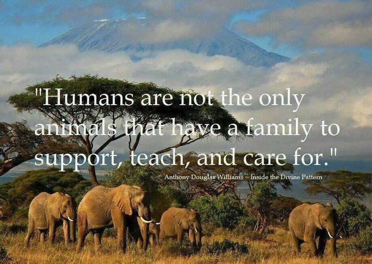 Wise Quotes About Family. QuotesGram