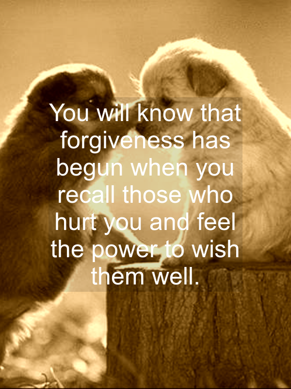 Forgiving Others Quotes. QuotesGram