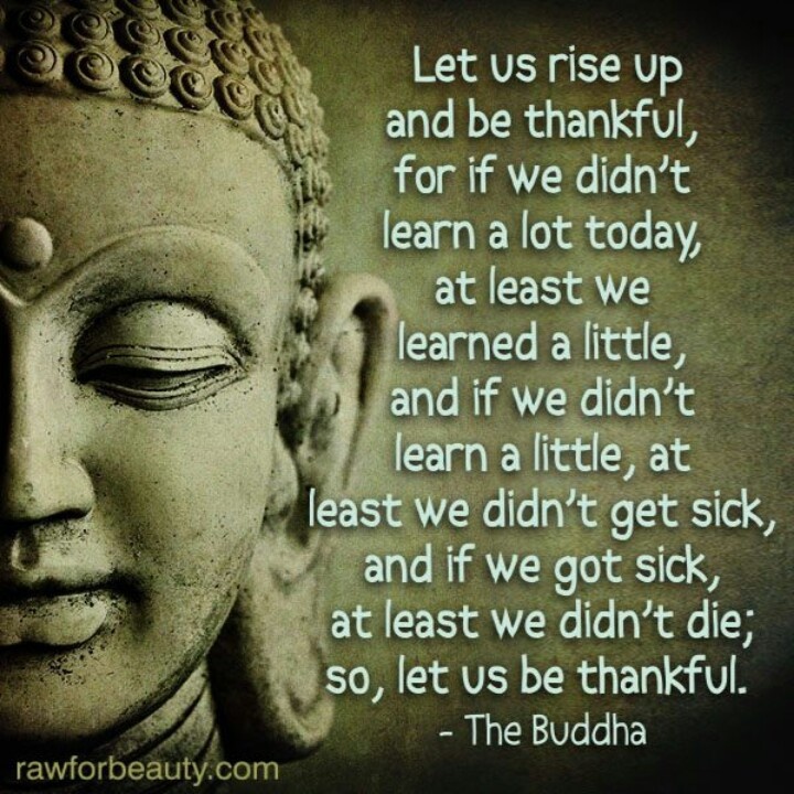 Buddhist Quotes On Thankfulness. QuotesGram