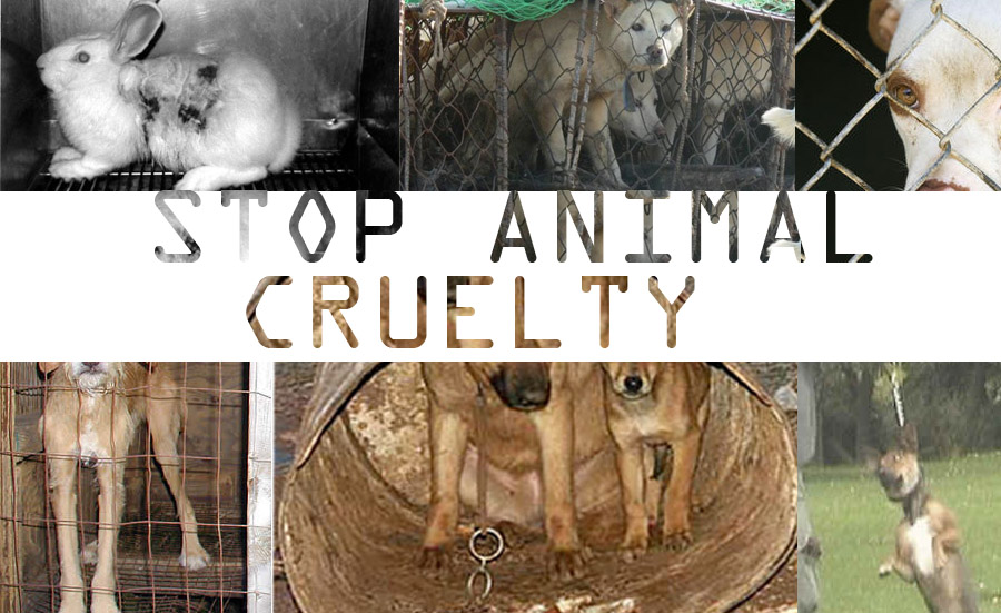 Quotes About Animal Abuse. QuotesGram