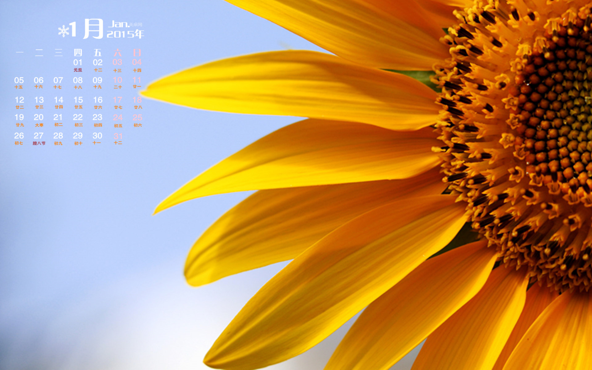 Sunflower Wallpaper With Quotes. QuotesGram