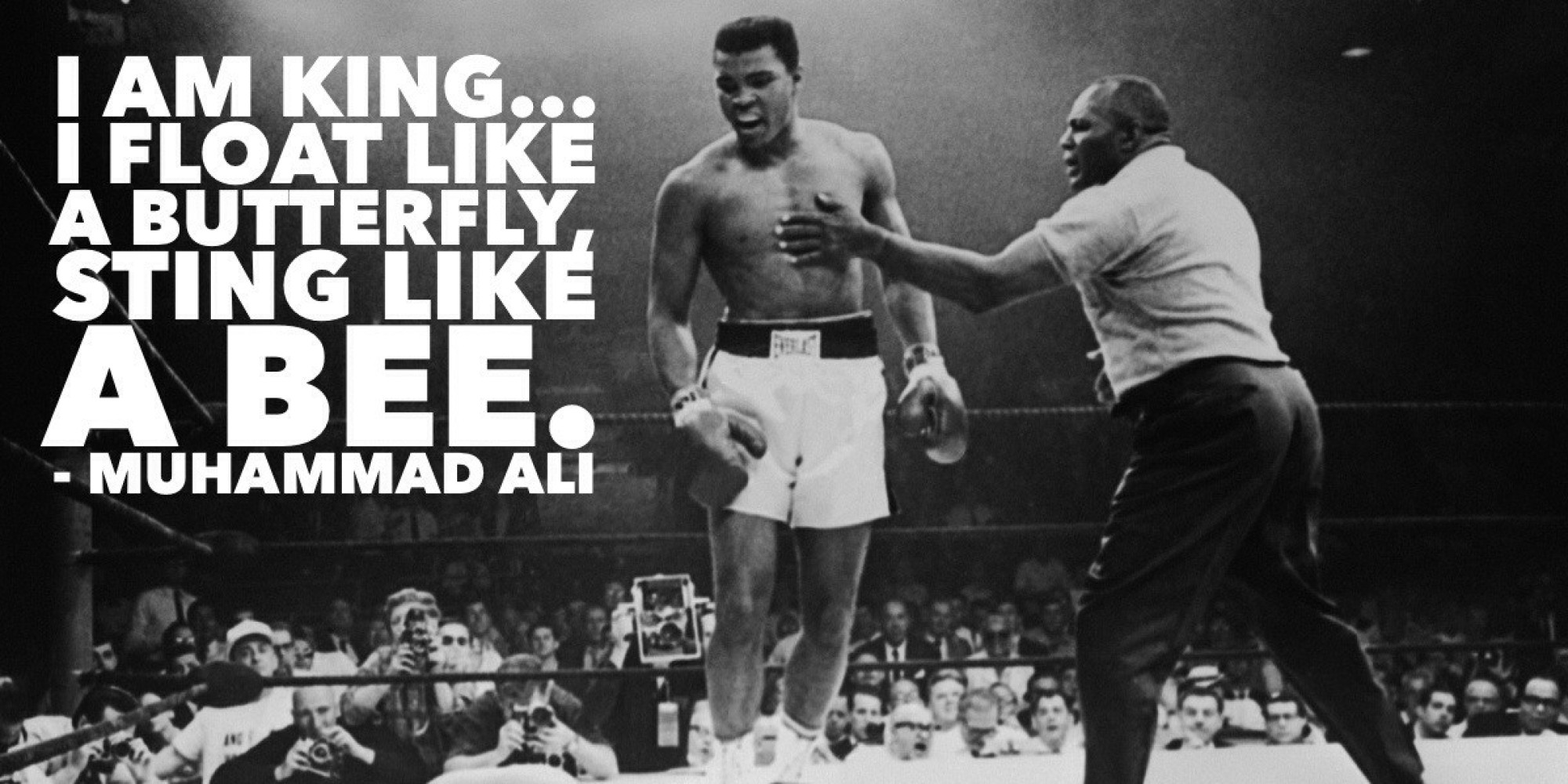 Cassius Clay Quotes Quotesgram