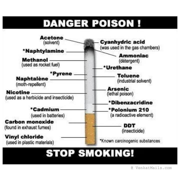 Funny Stop Smoking Quotes. QuotesGram Funny Stop Smoking Quotes. QuotesGram