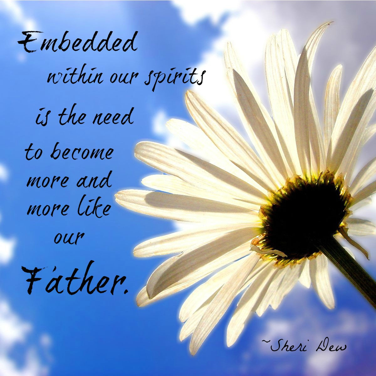 Lds Quotes On Happiness. QuotesGram