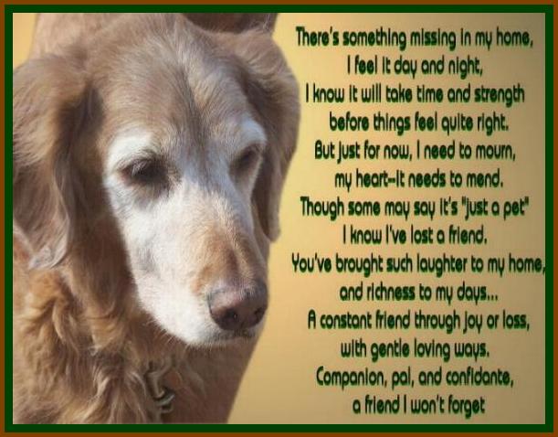 Dog Tribute Quotes. QuotesGram