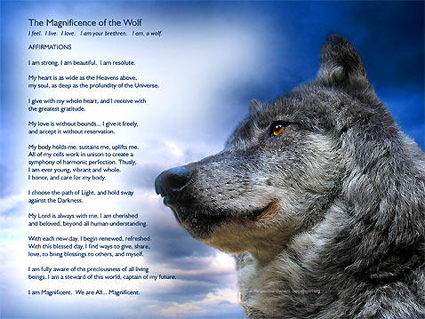 Funny Quotes With Wolves. QuotesGram