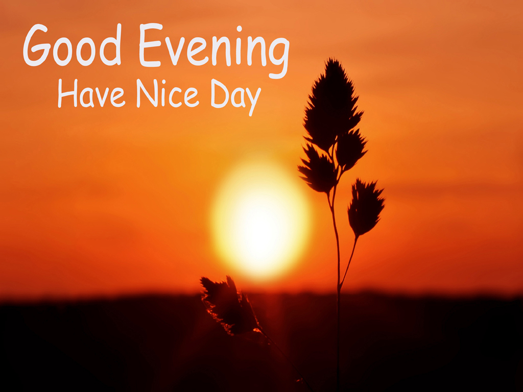 Have A Nice Evening Quotes Quotesgram