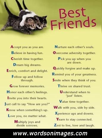 Meaningful Quotes About Friendship Quotesgram